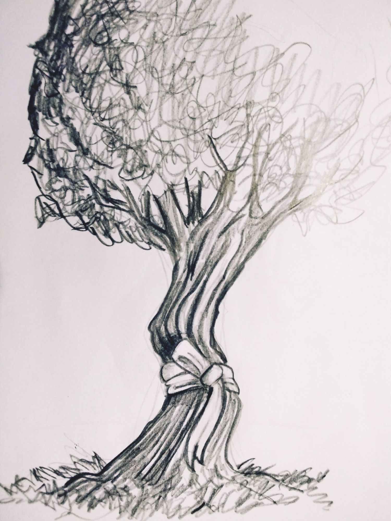 Última ilustración del libro